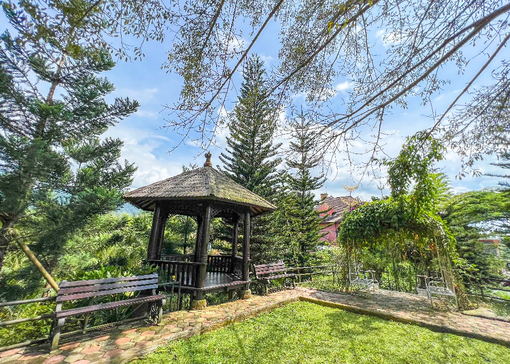 Living Room - The Mansion House 5