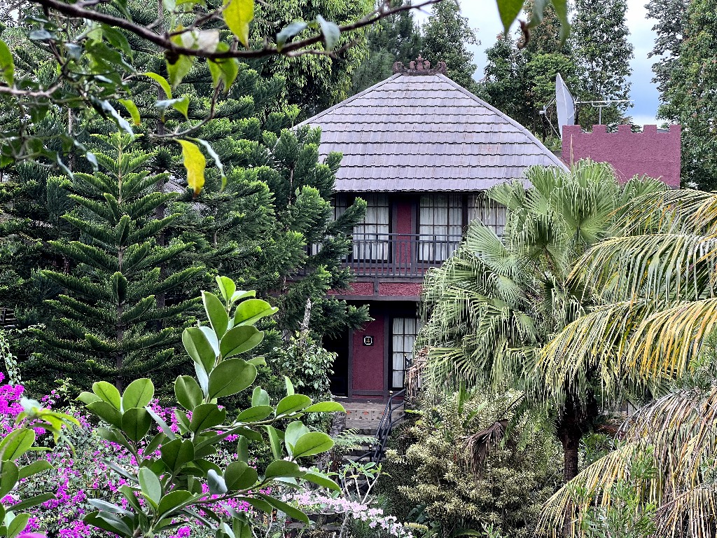 kitchen - The Mansion House